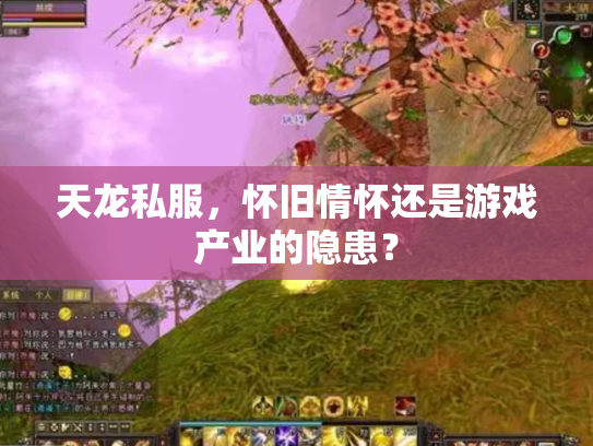 天龙私服，怀旧情怀还是游戏产业的隐患？