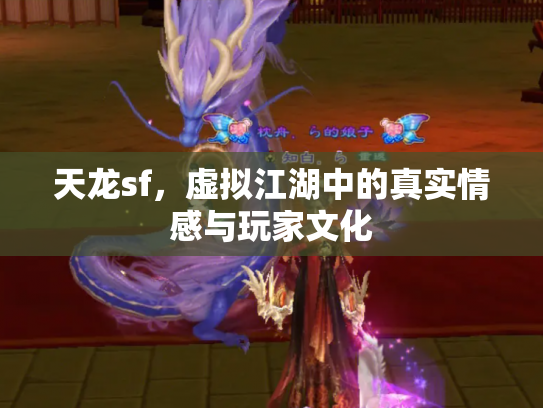 天龙sf，虚拟江湖中的真实情感与玩家文化