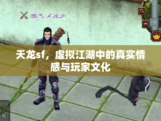 天龙sf，虚拟江湖中的真实情感与玩家文化