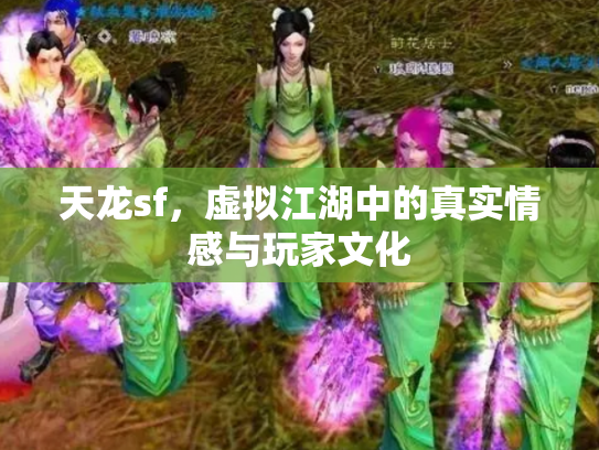 天龙sf，虚拟江湖中的真实情感与玩家文化