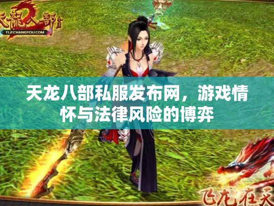 天龙八部私服发布网，游戏情怀与法律风险的博弈