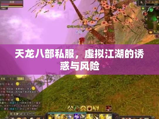 天龙八部私服，虚拟江湖的诱惑与风险