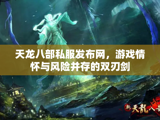 天龙八部私服发布网，游戏情怀与风险并存的双刃剑