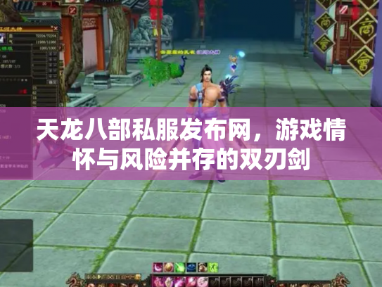 天龙八部私服发布网，游戏情怀与风险并存的双刃剑