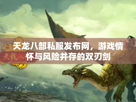 天龙八部私服发布网，游戏情怀与风险并存的双刃剑