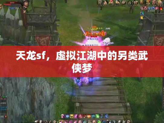 天龙sf，虚拟江湖中的另类武侠梦