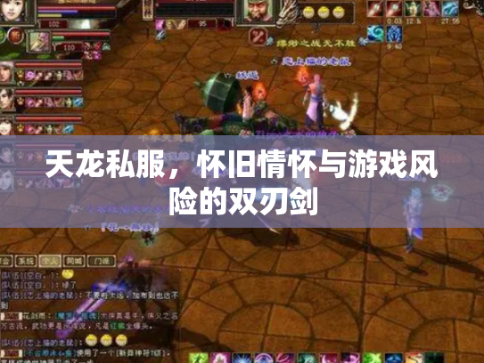 天龙私服，怀旧情怀与游戏风险的双刃剑
