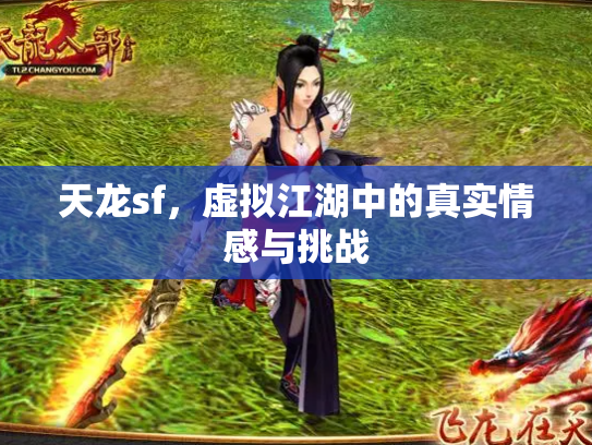 天龙sf，虚拟江湖中的真实情感与挑战
