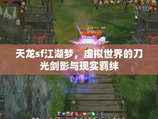 天龙sf江湖梦，虚拟世界的刀光剑影与现实羁绊