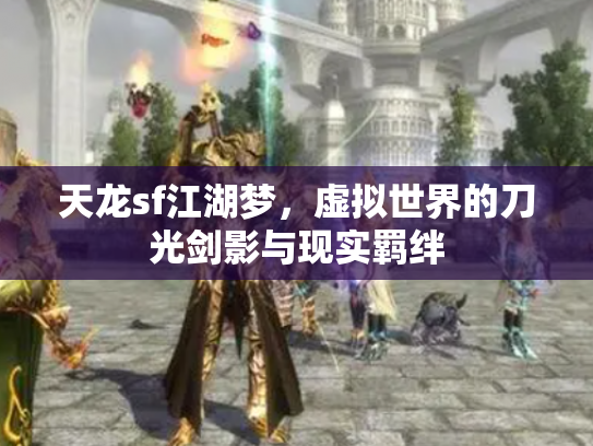 天龙sf江湖梦，虚拟世界的刀光剑影与现实羁绊