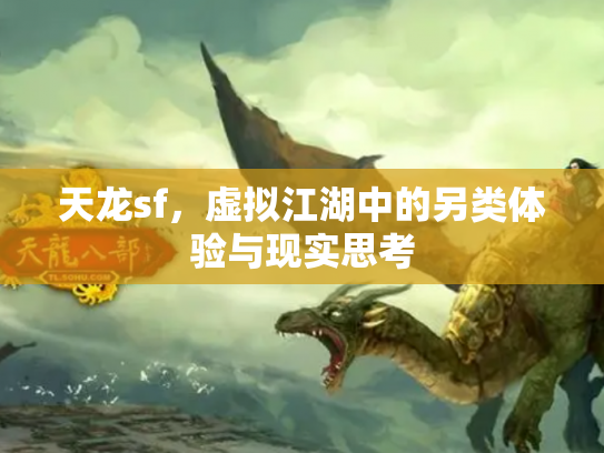 天龙sf，虚拟江湖中的另类体验与现实思考
