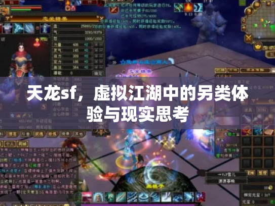 天龙sf，虚拟江湖中的另类体验与现实思考