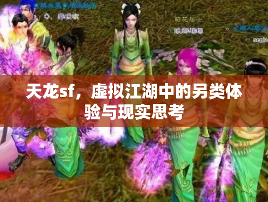 天龙sf，虚拟江湖中的另类体验与现实思考