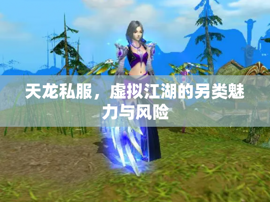天龙私服，虚拟江湖的另类魅力与风险