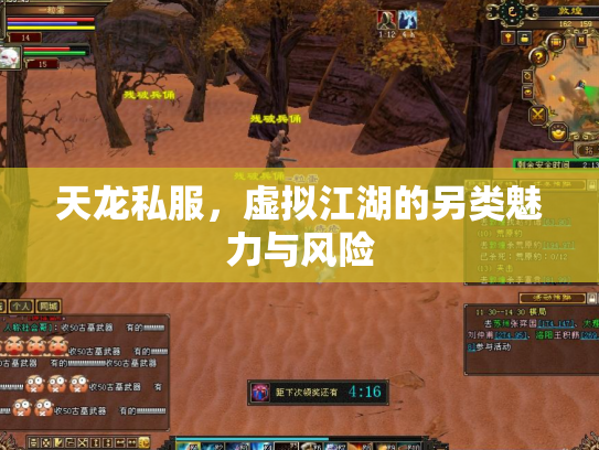 天龙私服，虚拟江湖的另类魅力与风险