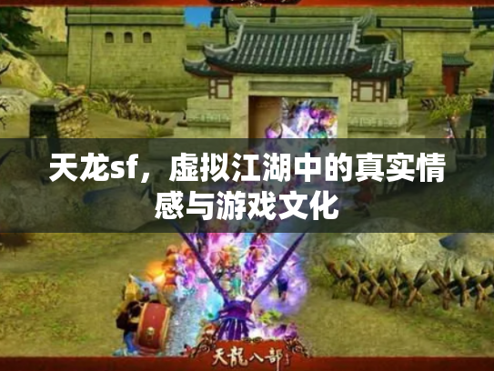 天龙sf，虚拟江湖中的真实情感与游戏文化