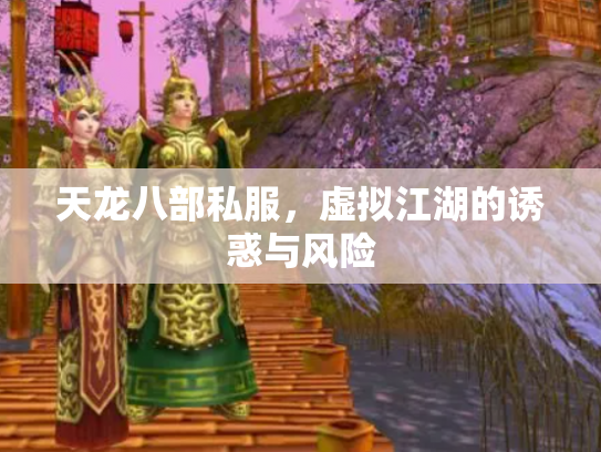 天龙八部私服，虚拟江湖的诱惑与风险