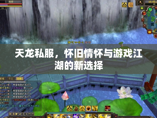 天龙私服，怀旧情怀与游戏江湖的新选择