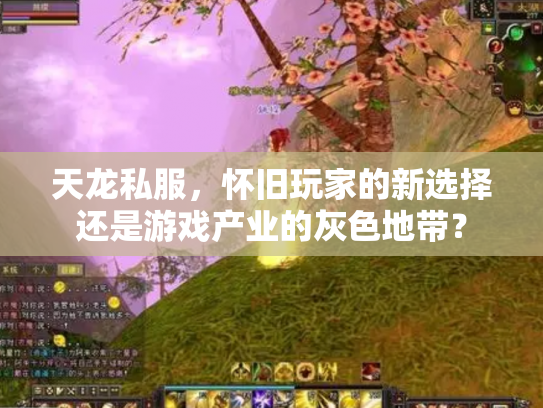 天龙私服，怀旧玩家的新选择还是游戏产业的灰色地带？