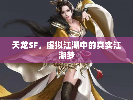 天龙SF，虚拟江湖中的真实江湖梦