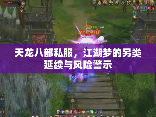 天龙八部私服，江湖梦的另类延续与风险警示