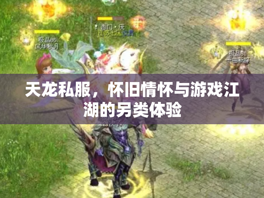 天龙私服，怀旧情怀与游戏江湖的另类体验