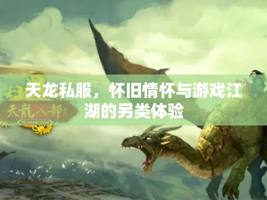 天龙私服，怀旧情怀与游戏江湖的另类体验