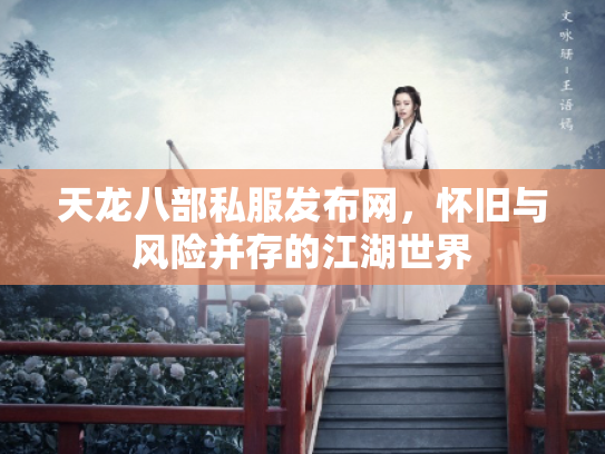天龙八部私服发布网，怀旧与风险并存的江湖世界