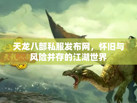 天龙八部私服发布网，怀旧与风险并存的江湖世界