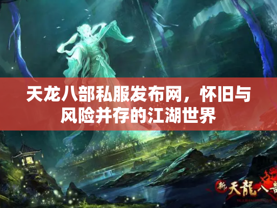 天龙八部私服发布网，怀旧与风险并存的江湖世界