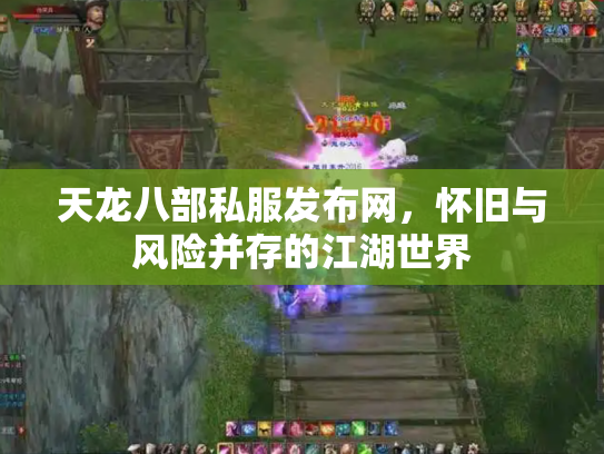 天龙八部私服发布网，怀旧与风险并存的江湖世界