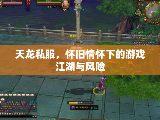 天龙私服，怀旧情怀下的游戏江湖与风险
