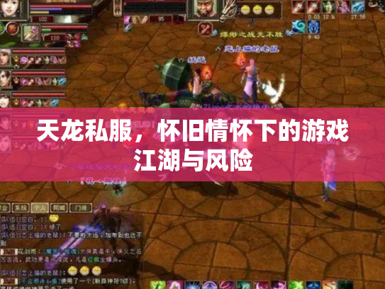 天龙私服，怀旧情怀下的游戏江湖与风险