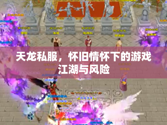 天龙私服，怀旧情怀下的游戏江湖与风险