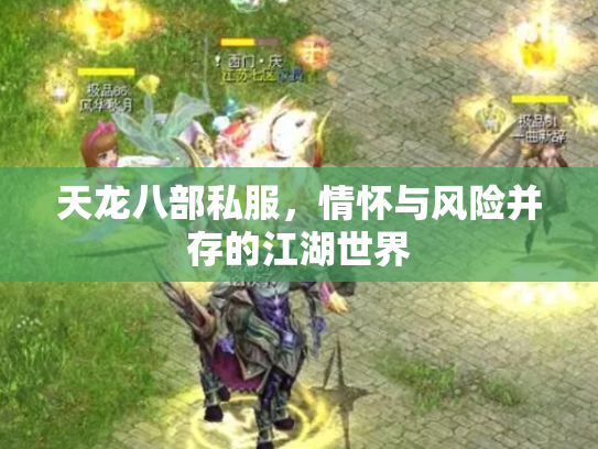 天龙八部私服，情怀与风险并存的江湖世界
