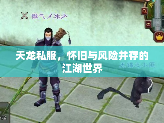 天龙私服，怀旧与风险并存的江湖世界