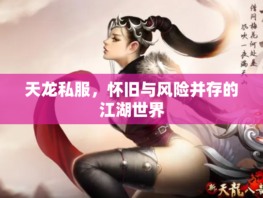 天龙私服，怀旧与风险并存的江湖世界