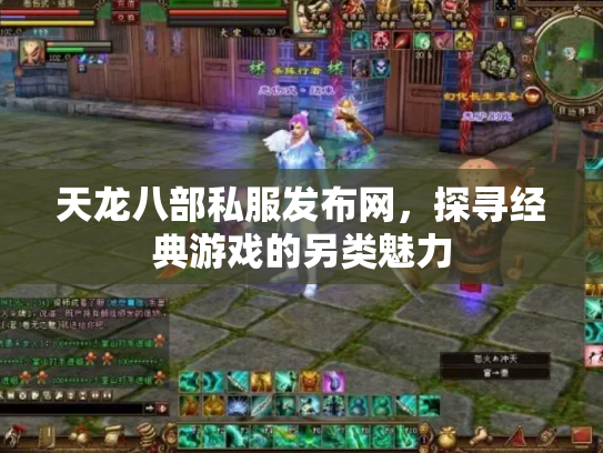 天龙八部私服发布网，探寻经典游戏的另类魅力