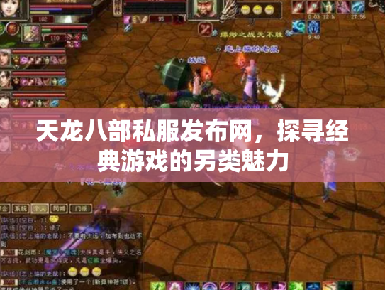 天龙八部私服发布网，探寻经典游戏的另类魅力