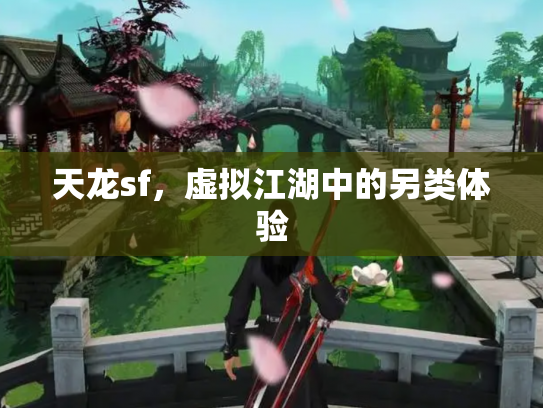 天龙sf，虚拟江湖中的另类体验