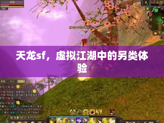 天龙sf，虚拟江湖中的另类体验