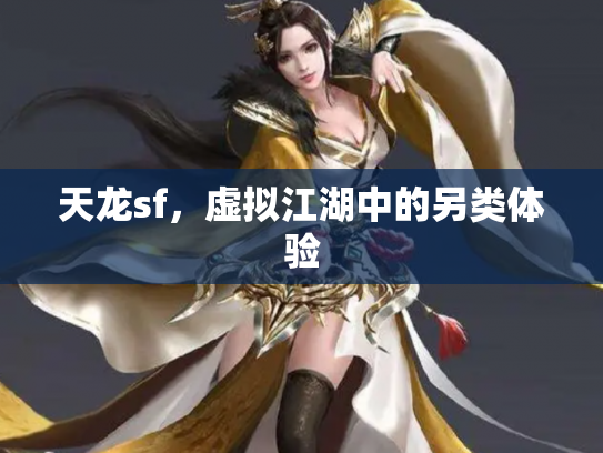 天龙sf，虚拟江湖中的另类体验