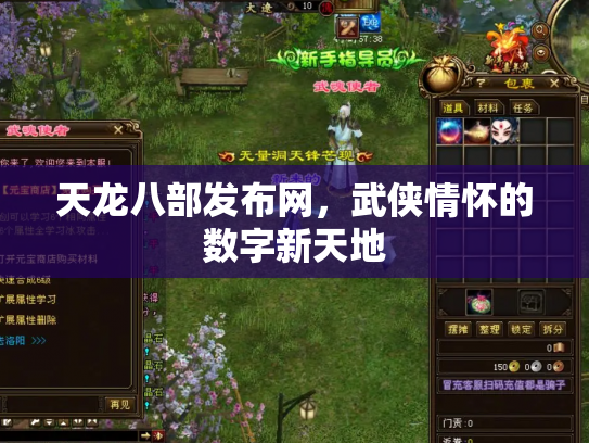 天龙八部发布网，武侠情怀的数字新天地