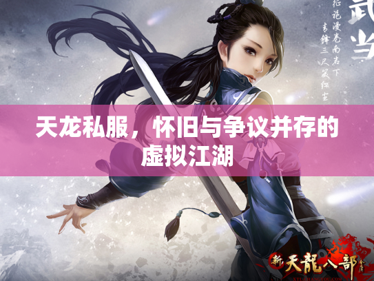 天龙私服，怀旧与争议并存的虚拟江湖