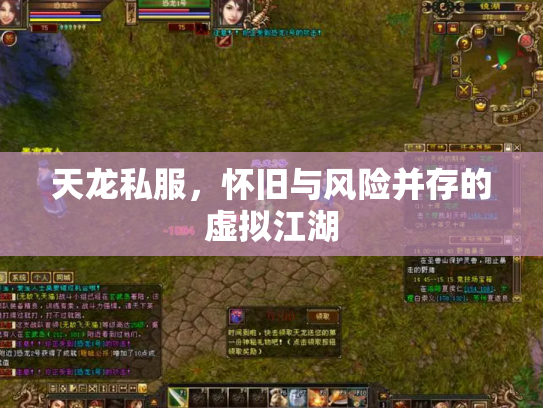 天龙私服，怀旧与风险并存的虚拟江湖