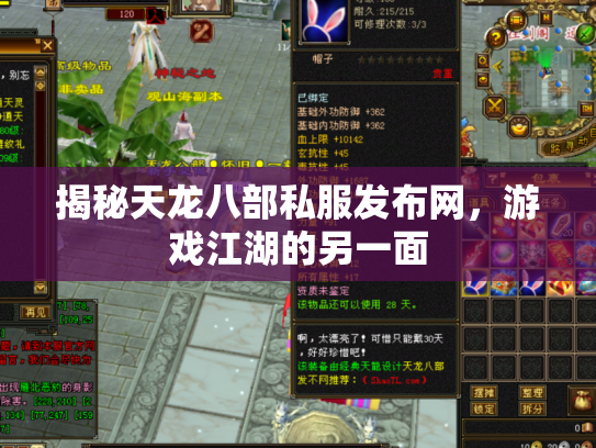揭秘天龙八部私服发布网，游戏江湖的另一面
