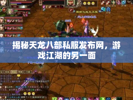揭秘天龙八部私服发布网，游戏江湖的另一面