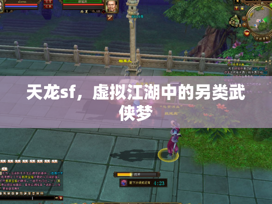 天龙sf，虚拟江湖中的另类武侠梦