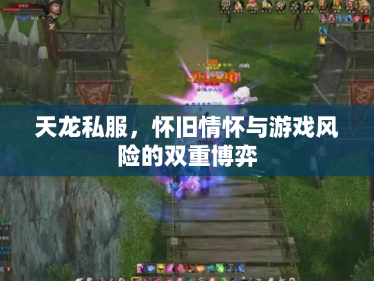 天龙私服，怀旧情怀与游戏风险的双重博弈