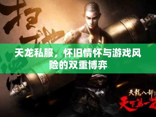 天龙私服，怀旧情怀与游戏风险的双重博弈